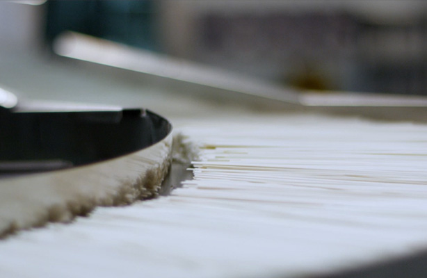 面條為什么會(huì)生蟲(chóng)？